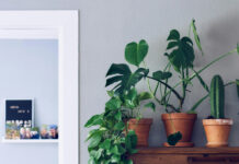 社會團體或社區組織甚麼情況下需要架設網站?